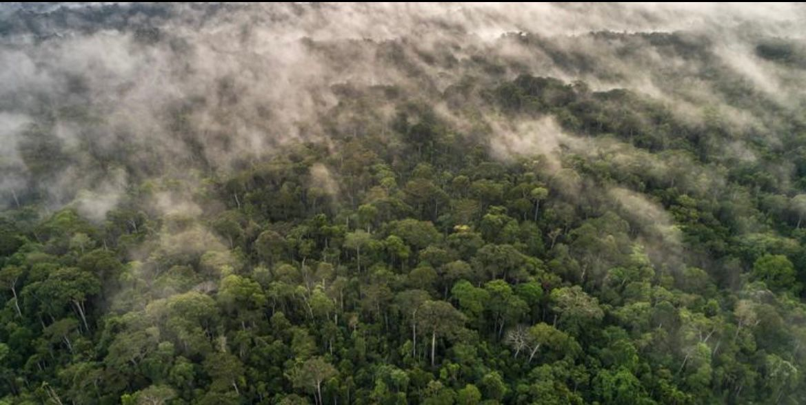 Monitoramento Tecnológico da Amazônia
